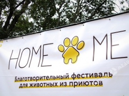 Свыше 200 кошек и собак искали дом на фестивале Home Me Fest в Одессе (фото)