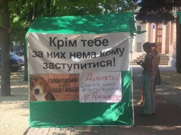 Неизвестные разрезали палатки зоозащитников у Николаевского горсовета