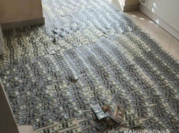 "Ковер из долларов и евро" - в полиции опубликовали фото с обысков в запорожском ВУЗе