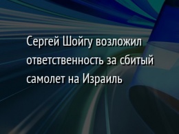 Сергей Шойгу возложил ответственность за сбитый самолет на Израиль