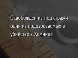 Освобожден из-под стражи один из подозреваемых в убийстве в Хемнице