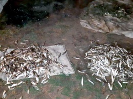 На крупном водохранилище под Харьковом поймали браконьера (фото)
