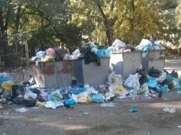 Северодонецк утопает в мусоре (фото)
