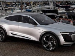 К 2025 году Audi выпустит 12 новых моделей электрокаров