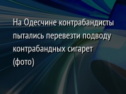 На Одесчине контрабандисты пытались перевезти подводу контрабандных сигарет (фото)