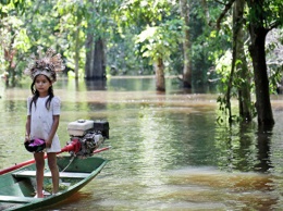 Климатологи заявили о начале эпохи "великих потопов" в Амазонии