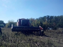 На Кировоградщине рейдеры пытались захватить урожай одного из агропредприятий (ФОТО)