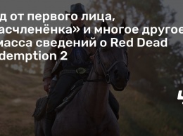 Вид от первого лица, «расчлененка» и многое другое - масса сведений о Red Dead Redemption 2