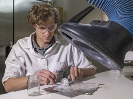 Ученые нашли в России "органические останки" древнейшего животного Земли