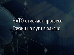 НАТО отмечает прогресс Грузии на пути в альянс