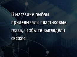 В магазине рыбам приделывали пластиковые глаза, чтобы те выглядели свежее