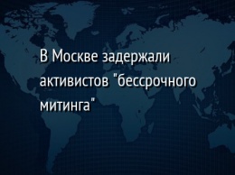 В Москве задержали активистов "бессрочного митинга"