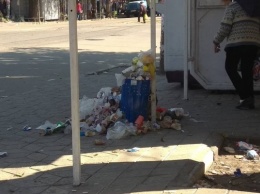 В центре Запорожья остановка завалена мусором (ФОТО)