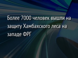 Более 7000 человек вышли на защиту Хамбахского леса на западе ФРГ