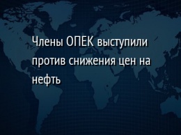 Члены ОПЕК выступили против снижения цен на нефть