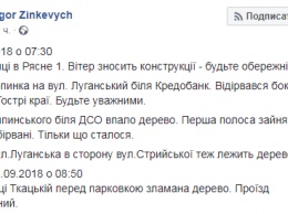 Штормовой ветер во Львове крушит автобусные остановки и ломает деревья. Фото