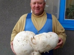 В Николаевской области грибник нашел огромный гриб весом более пяти килограмм