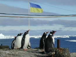 Украина и Беларусь будут совместно исследовать Антарктику