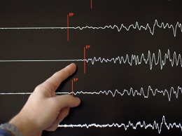В институте Ростандарта рассказали, как прогнозируют землетрясения