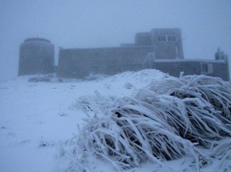 В Украине неожиданно выпал первый снег: зрелищные фото и видео