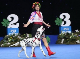 В Днепре пройдет Фестиваль по танцам с собаками