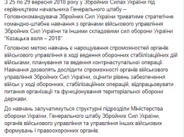 Старт масштабных учений "Казацкая воля - 2018". ВСУ объявило, что будет сбивать все подозрительные дроны