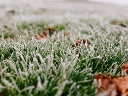 Холодает: в некоторых областях Украины обещают заморозки на почве