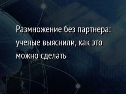 Размножение без партнера: ученые выяснили, как это можно сделать