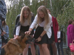 Керченским школьникам показали, как собаки ищут тротил