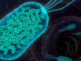 Гибернация бактерий как способ повышения толерантности к антибиотикам