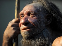 Исследование показало, что неандертальцы обладали ловкими руками