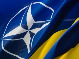 В Украине стартовал масштабный проект НАТО - первые подробности