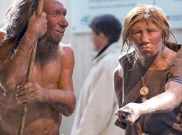 Антропологи опровергли миф о неуклюжести рук неандертальцев
