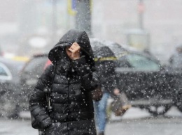 Москвичи приняли снежную крупу за мелкий град