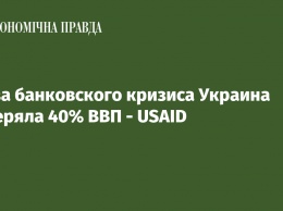 Из-за банковского кризиса Украина потеряла 40% ВВП - USAID