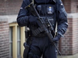 В Нидерландах арестовали семь человек по подозрению в подготовке теракта