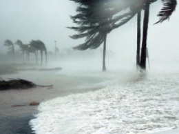 У берегов Мексики бушует мощный ураган (фото)