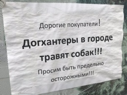 В Херсоне появились объявления с предупреждениями о догхантерах