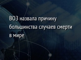 ВОЗ назвала причину большинства случаев смерти в мире