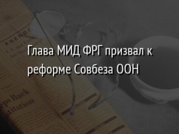 Глава МИД ФРГ призвал к реформе Совбеза ООН