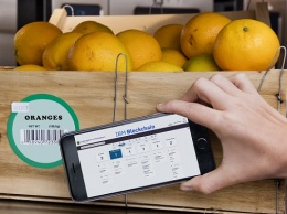 Технология будущего: эксперты придумали, как быстро находить испорченные продукты в супермаркетах