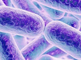 Бактериальный белок мимикрирует под ДНК, чтобы прорвать оборону клетки
