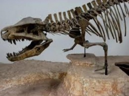 На юге Африки ученые нашли неизвестного гигантского динозавра