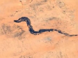 Эксперты обнаружили на снимках пустыни в Мавритании окаменелости дракона