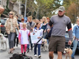 Волк в вожаках и транспортные проблемы: в центре Одессы прошел марш спасенных собак