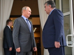 Словно к алтарю идут: в сети смеются над нежностями Путина и президента Таджикистана