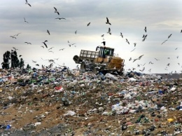 А потом говорят, что мы город зас*раем: в центре Киева растет гора гниющего мусора