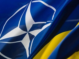 НАТО может ввести войска на Донбасс: все зависит от одного человека