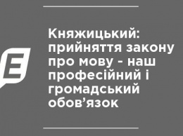 Княжицкий: принятие закона о языке - наш профессиональный и гражданский долг