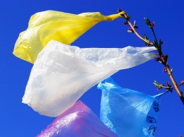 В Грузии запретили одноразовые пластиковые пакеты